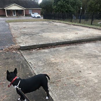 Dog Woods Training Center