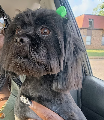 Daphne's Pet Grooming & Boarding