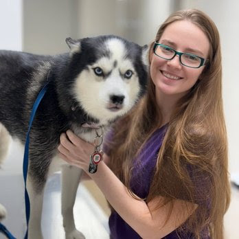 Shelby Center Hospital for Animals