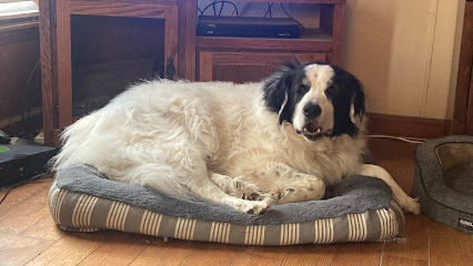 Gotta Go Pet Services