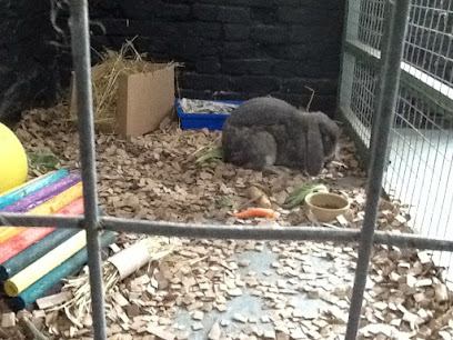 NO LONGER OPEN Feather and Fur Small Animal & Bird Pet Hotel