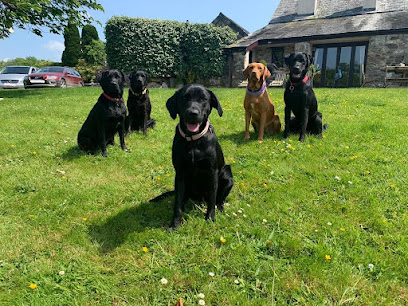 West Devon Hounds on Holiday