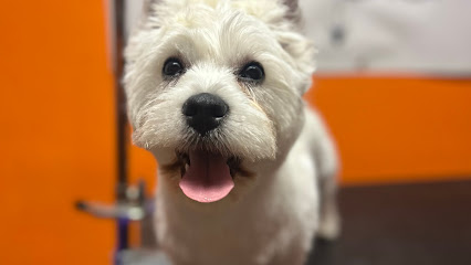 Itsy Bitsy Gooming Shop