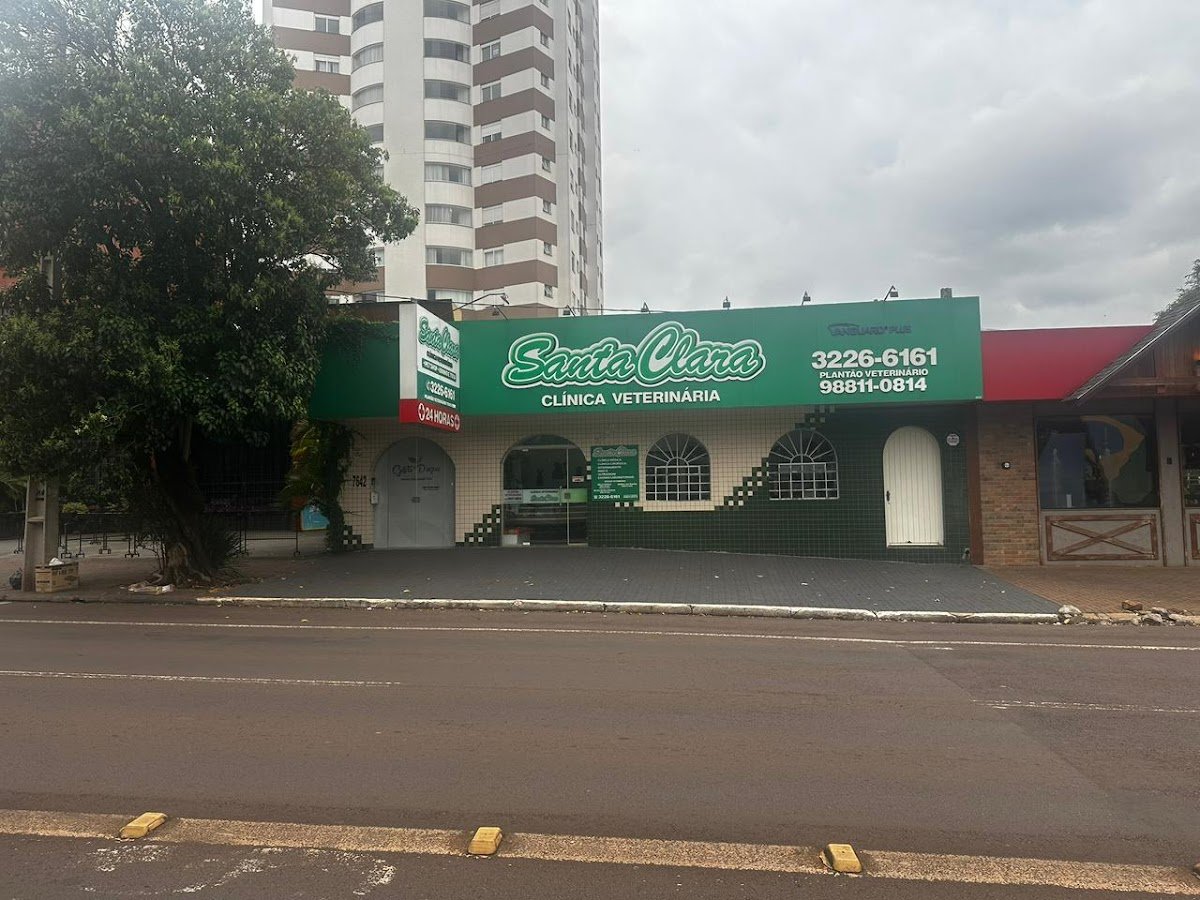 Veterinary Santa Clara