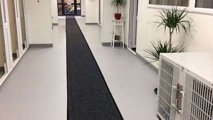 Catnaps Cattery, Spencer Place Farm, Waltham Chase, Hampshire