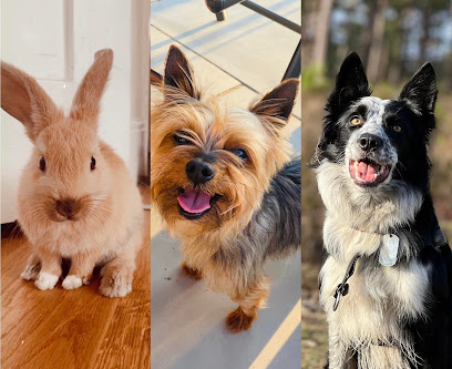 Little paws big dreams