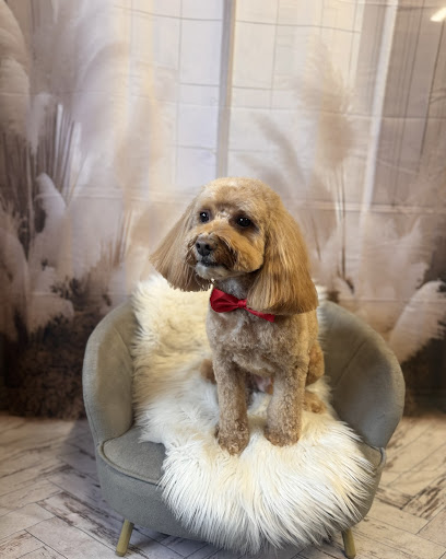 Chloe’s K9 Clips Dog Grooming Services