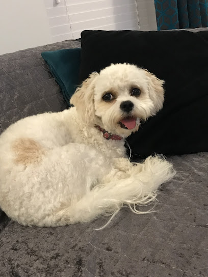 Melanie W Dog Home Boarding