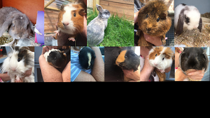 Piggy Palace & Rabbit Ranch Boarding