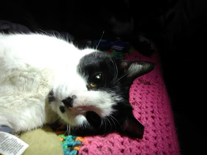 Waggin' Tail Kennels Inc