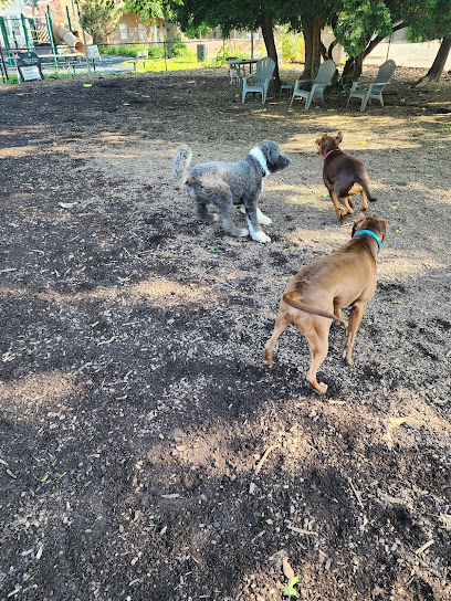 Morton Avenue Dog Park