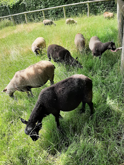Southampton City Farm