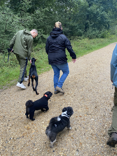 Oliver's Dog Walking