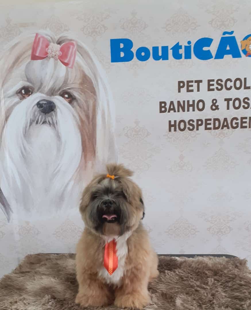 Bouticão Pet Shop