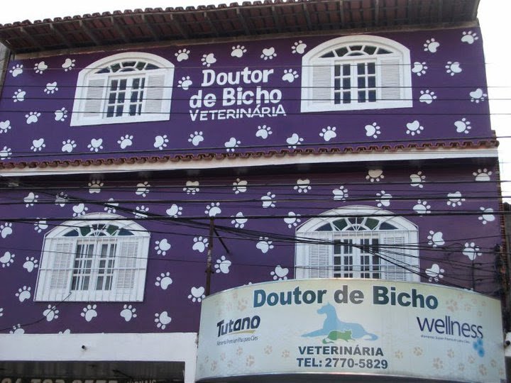 DOUTOR DE BICHO-Veterinária