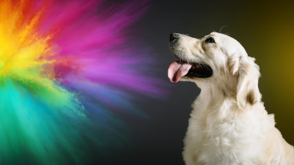 Parkwood Pet Resort Locust Point