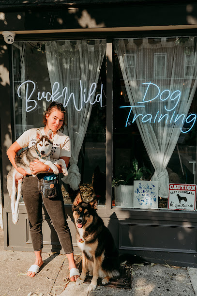 Buck Wild Dog Training