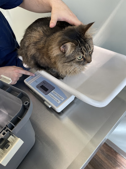 Hampden Veterinary Hospital