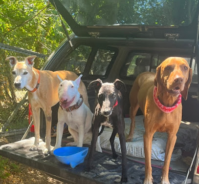 Imogen’s Countryside Capers