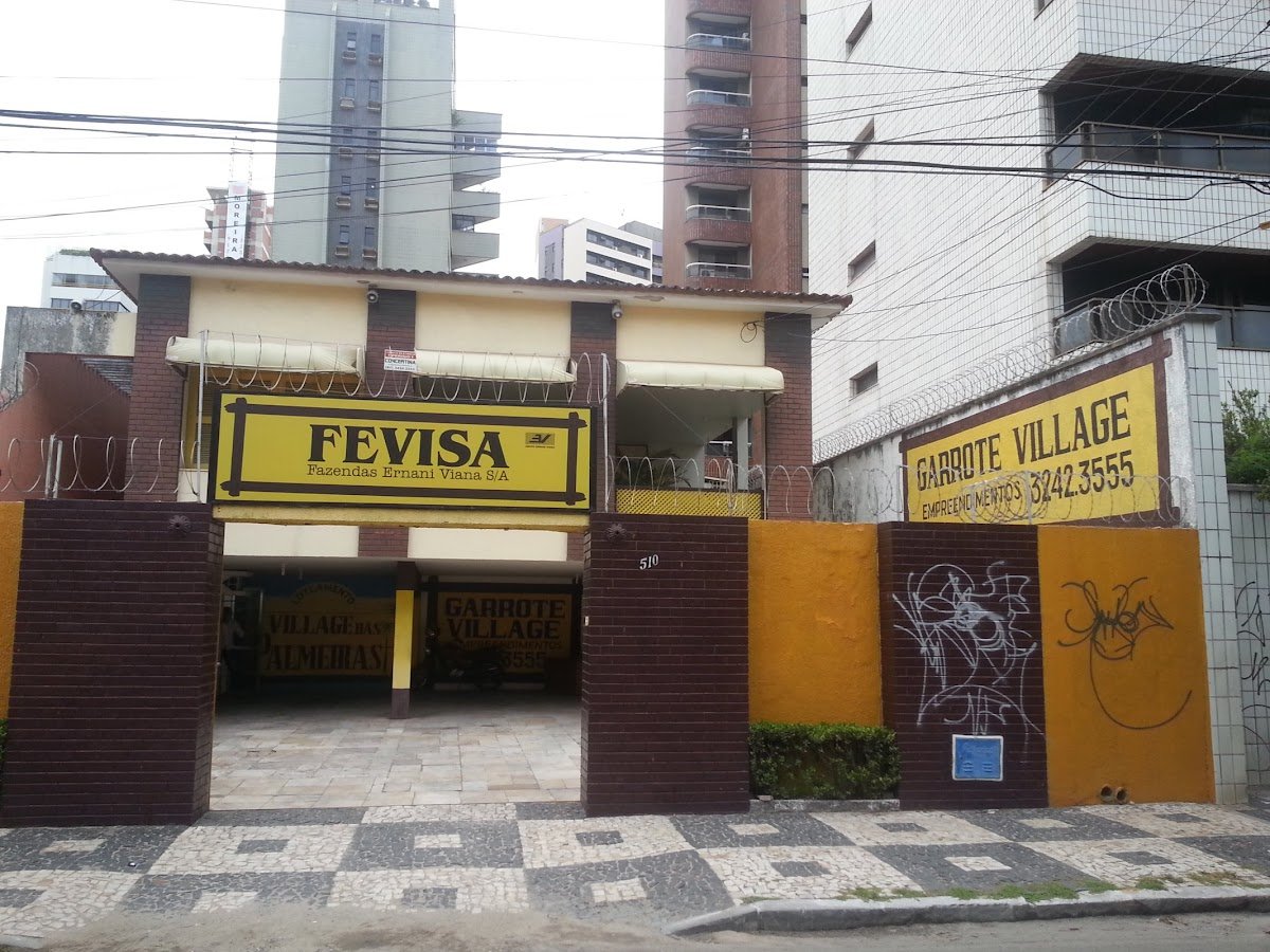 Fazendas Ernani Viana S/a-fevisa