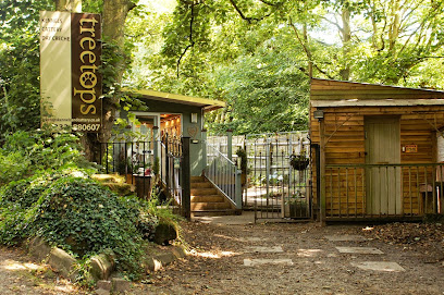 Treetops Dog Den - Daycare and Dog Spa