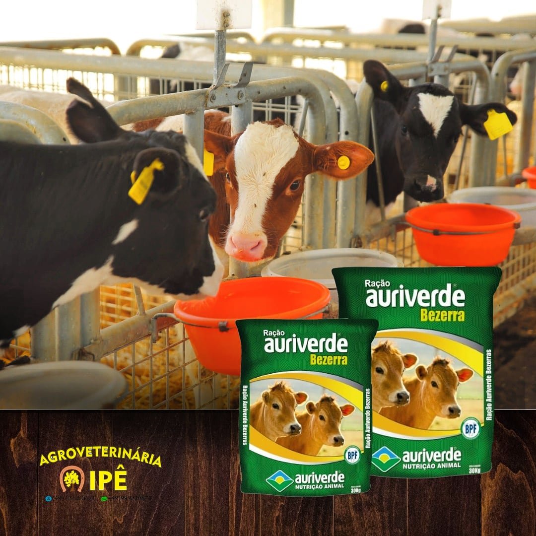 Agroveterinária Ipê