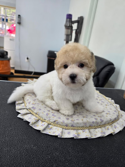 Snoopy Pet Grooming, Roland Park