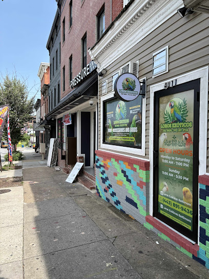 Loros Exoticos Baltimore