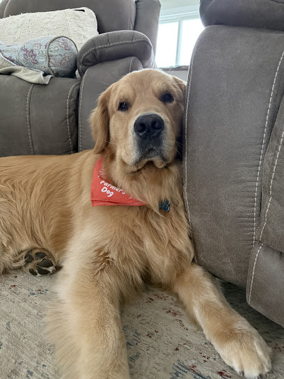 Woofie’s® of Bel Air