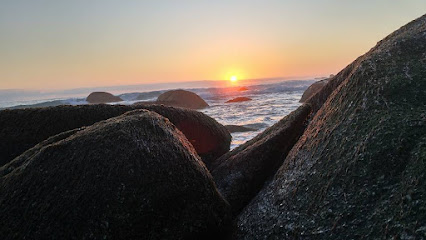 At Peace Home Veterinary Care