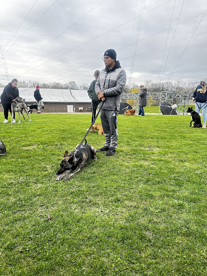 Milwaukee Dog Training Club