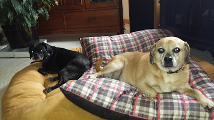 In-Home Pet Services