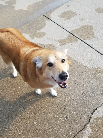 Greater Milwaukee Pet Care