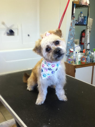 Four Paws Grooming LLC