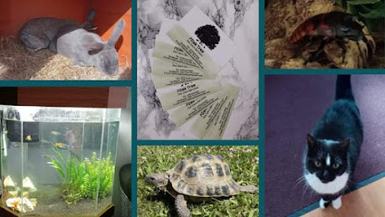 Oak Tree Pet Care Services