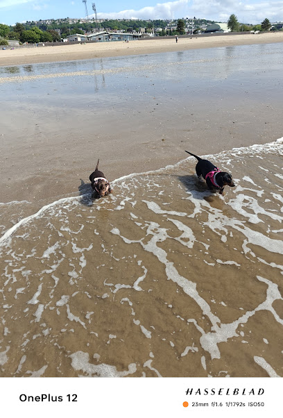 furryfriendshomeboarding.com