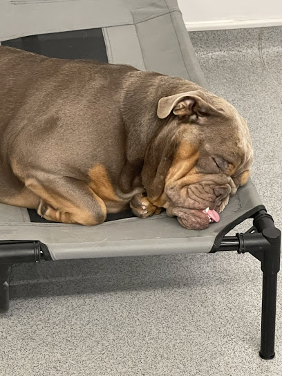 The Doghouse Daycare And Grooming