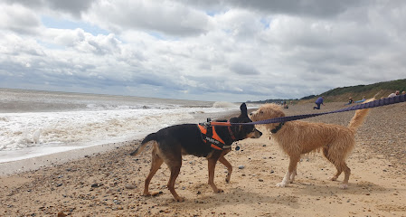 Tawe Tails Pet Services