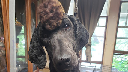 Honeysuckle, - Hounds, - Dog, - Grooming, - And, - More.