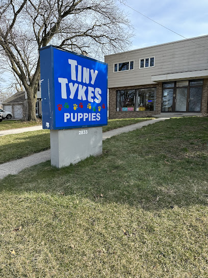 Tiny Tykes Puppies