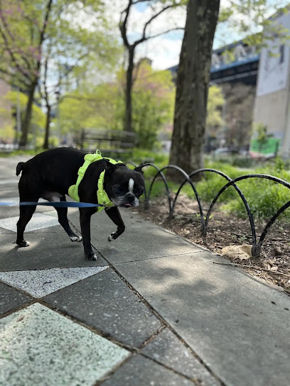 Dog Sitting, boarding, daycare, training and walking | Erica L. | Rover