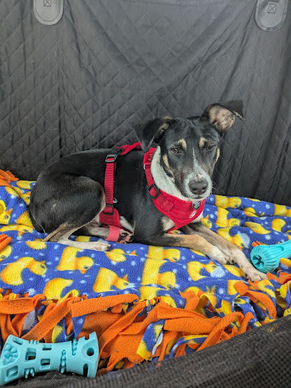 West Burleigh Veterinary Clinic: Kaiser Vickie DVM