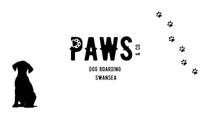 Paws & Co Swansea