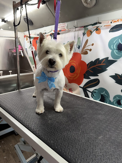 Filthy Gorgeous Grooming NM