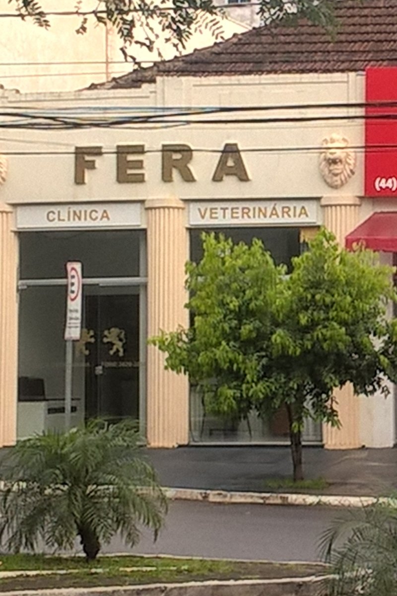 Clínica Veterinária Cianorte