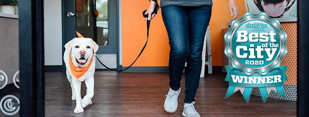 Dogtopia of Albuquerque West