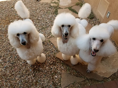 Avalon Home Pet Care Services