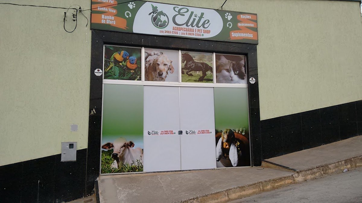 AGROPECUÁRIA E PET SHOP PINTINHO