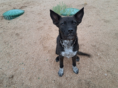 Proof Pawsitive Az, LLC