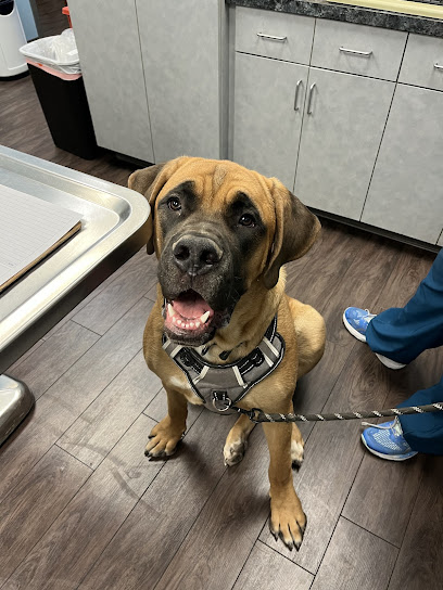 Cañada Del Oro Pet Clinic